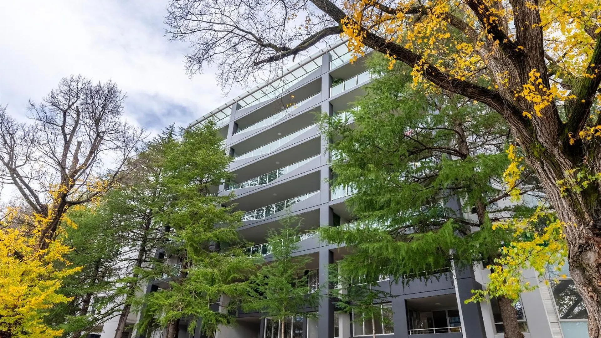 Serain Residences On Northbourne Ave Canberra Australia